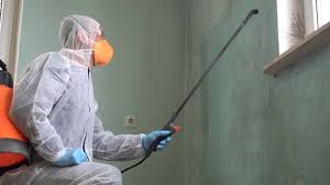 Best Industrial Mold Remediation  in USA